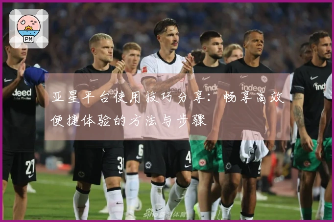 亚星平台使用技巧分享：畅享高效便捷体验的方法与步骤
